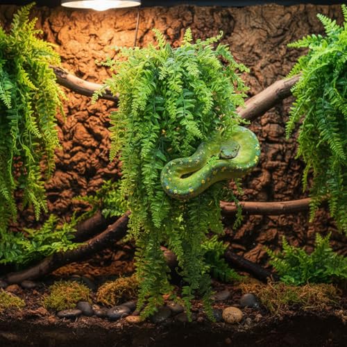 Reptile Plants Hanging Fake Vines Boston Climbing Terrarium Plant with Suction Cup for Bearded Dragons Lizards Geckos Snake Pets Hermit Crab and Tank Habitat Decorations (3 Pack)