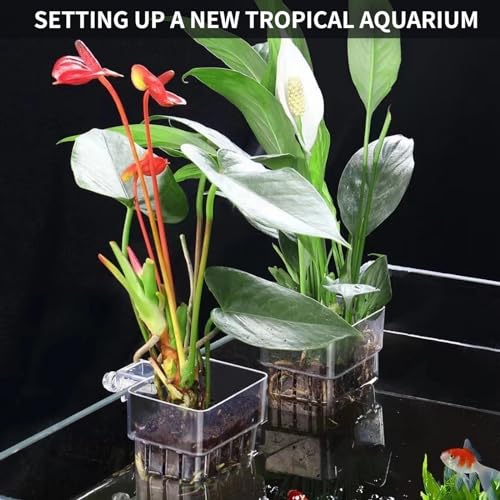 2 PCS Aquarium Plant Holder Top Hanging Fish Tank Plant Pot Aquarium Planter Cups for Water Feature Decoration - color: Square - Clear