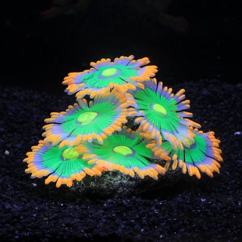 ZtohPyo Glowing Effect Soft Anemone Aquarium Fish Tank Decorations Silicone Glow in The Dark Artificial Ornament Plants for Aquarium Landscape Small/Large Fish Bowl Decor Accessories - color: Orange