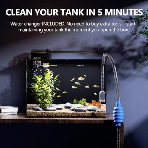 5 Gallon Fish Tank Aquarium Kit with HOB Filter, LED Light with Timer, Lid, Siphon Vacuum Cleaner, Self Cleaning Glass Rimless Betta Tank - size: 5 Gallon