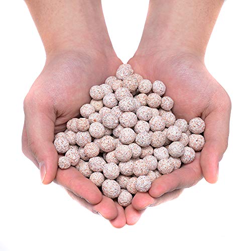 ALEGI 2 lbs Aquarium Ceramic Bio Filter Media Sphere for Freshwater Aquarium and Marine Fish Tank Sump, Canister Filter, Koi Ponds (2 lbs) - size: 2 lbs