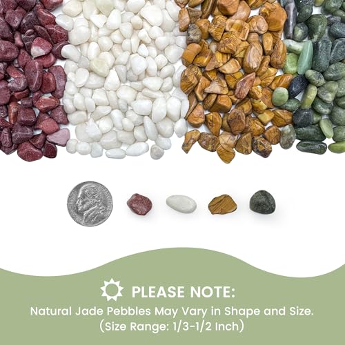 SIDONG 10 LB Natural Gravel Pebbles, 2/5 Inch Small Pea Gravel Stones, Decorative River Rocks for Succulents, Aquariums, Vases, Indoor Plants, Garden Landscaping, DIY - color: Colorful, size: 10 Pounds