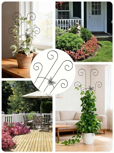 Metal Butterfly Trellis for Climbing Plants Indoor, 4 Pack 30 Inch Taller Garden Trellis for Potted Plants, Monstera Plant Support Stakes for Ivy Pothos Hoya Flower Outdoor (Black) - color: Gold-NEW