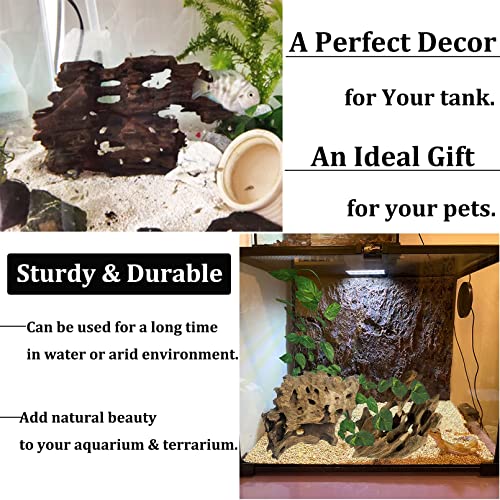 PINVNBY 6 PCS Natural Driftwood for Aquarium Decor 3.9" - 7.8" Large Driftwood for Reptile Tank Fish Aquarium Driftwood Branches Terrarium Decoration Assorted - size: 3.9" - 7.8"