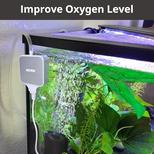 NICREW Nano Silent Aquarium Air Pump White, Aquarium Aerator with Accessories for Up to 10 Gallon Fish Tank, Super Quiet, 0.3 L/min, 1.5 Watts - color: White, size: up to 10 gallon