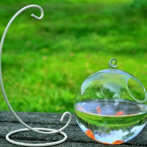 Spherical Glass Handmade Fish for Round Shape Hanging Glass Aquarium Fish Bowl Clear Plant Terrarium