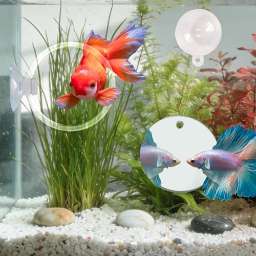 Betta Fish Toys, 2 PCS Fish Exercise Ring and Nitrifying Balls Set, Betta Mirror Toy Set, Feeding Ring with Suction Cup, Fishing Tank Accessories for Gifts (Clear) - color: Clear