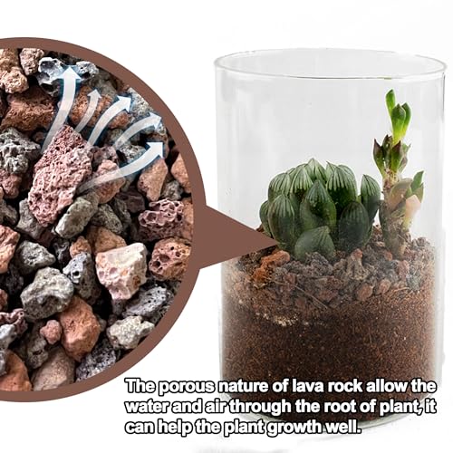 3lb Lava Rocks for Plants - Horticultural Volcanic Gravel for Drainage in Succulents, Bonsai, Terrariums and Landscaping - color: Mix Lava, size: 3lb