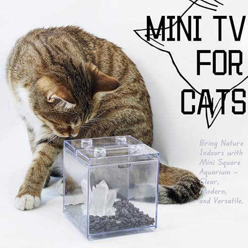 Mini Betta Fish Tank, Stackable Small Fish Bowl for Desktop Decoration, 0.2 Gallon 360° Rotatable Tiny Aquarium Kit with Gravels & Resin Crystal Cluster for Sea Monkey, Shrimp