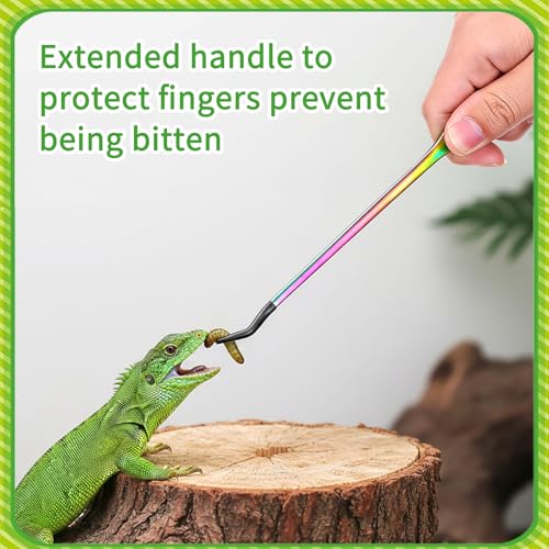 3PCS Stainless Steel Reptile Feeding Tongs Straight Curved Long Tweezers 10.6” Long Aquarium Reptile Tweezer Reptiles and Feeding Accessories Tweezer Feeder Tool for Aquarium Terrarium