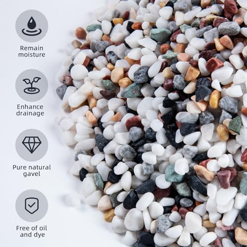 5lb Pea Silica Gravel Decorative Rocks, No Wax Pebbles Ideal for Fish Tank, Vases, Succulents, Home Decor and Garden Landscaping, Countryside Silica Gravel - color: Countryside No Wax, size: 5LB