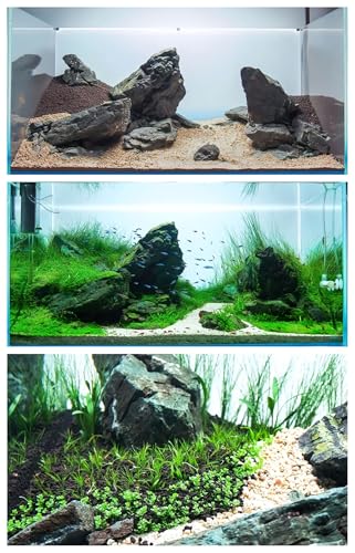 4 Aquarium Plants S.e.e.d Set, not Artifical, Fish Tank Decor Replacement for Resin or Plastic Grass