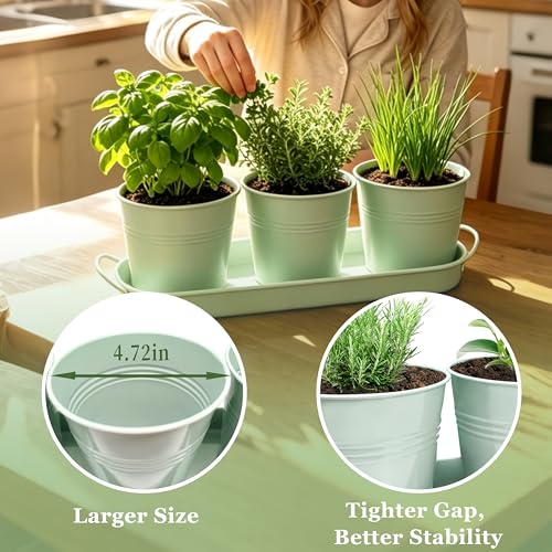 TCBWFY Indoor Herb Garden Planter Set - 3 Pack 4.7" Green Metal Plant Pots with Drainage Holes & Removable Tray - Windowsill Kitchen Counter Balcony Office Garden - color: Green