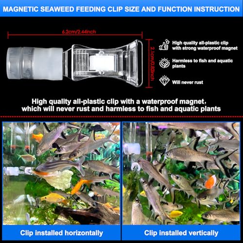 Magnetic Aquarium Veggie Clip Plant Feeding nori Seaweed Clip for Saltwater Fish Aquarium Magnet Lettuce Food clamp Fish Accessories—Patented Product (2pcs Magnetic Veggie Clip)