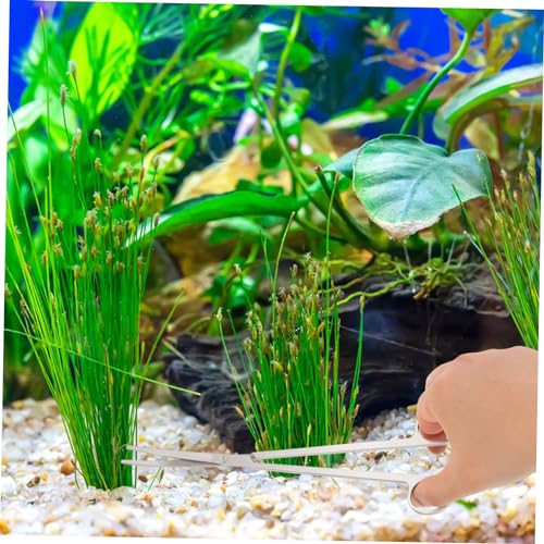 Milisten 1 Set Aquarium Scissors and Tweezers Aquatic Plant Trimming Tools for Freshwater and Saltwater Tanks Ergonomic Compact and Versatile Terrarium Tools