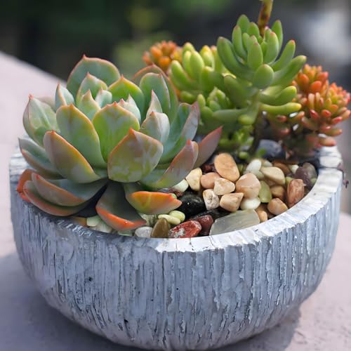 FANTIAN 10 lbs Small Succulent Rocks, 3/8 Inch Colorful Polished Pebbles for Indoor Plants. Decorative Rocks for Plants Indoor, Vases, Planters Aquarium and Outdoor Landscaping Garden - size: 10 pounds, style: Colorful