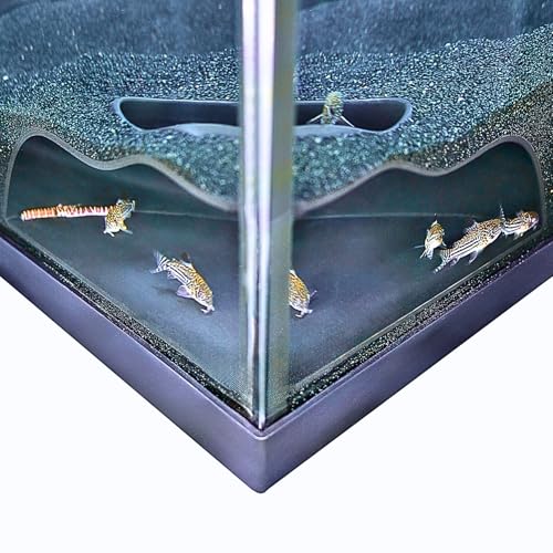 Lucky Critter Aquarium Underground Corner Cave Natural Curve | Viewing Fish & Shrimp Under Gravel Tunnel | Fish Tank Decor Decoration Hideout Perfect for Corydora Catfish, Kuhli Loach, Pleco - color: Black