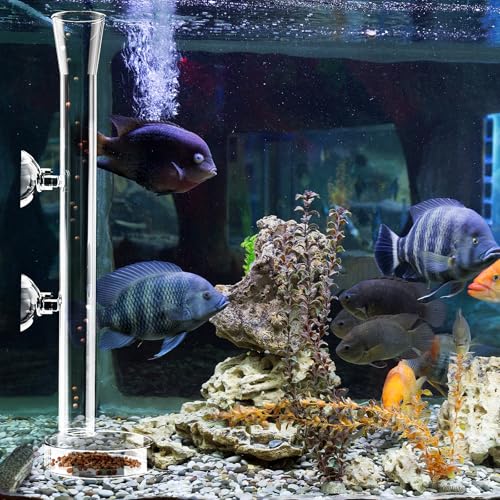 8 Pcs Shrimp Feeding Tube and Dish Fish Feeder Tube Tray for Plant Holder for Aquarium Fiberglass Fish Tank Feeding Tray (8inch)