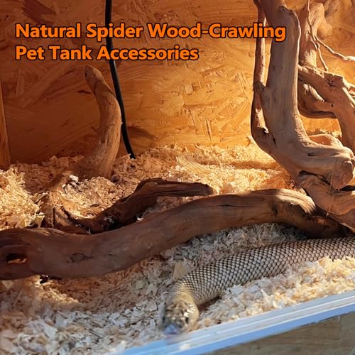Hamiledyi 7-10in Natural Aquarium Driftwood 2PCS Large Reptile Spider Wood Ornament Assorted Branches Natural Driftwood Log Fish Tank Decoration - size: Large:spiderwood 7-10in 2PCS