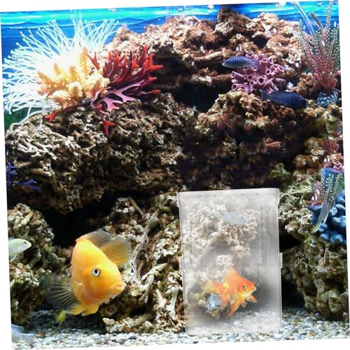 VICASKY 4Pcs Small Fish Tank Isolation Boxes Suction Cup Breeding Container for Guppy Hatching Easy to Install and Clean Compact Design for Safe Fish Acclimation and Isolation