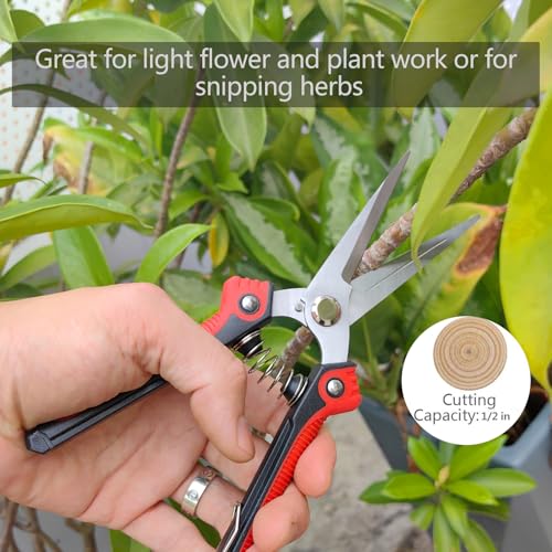 Gardening Scissors Hand Pruner Pruning Shear with Straight Stainless Steel Blades, Flower Cutter Garden Clippers, 8.1 Inch (Red) - color: Red