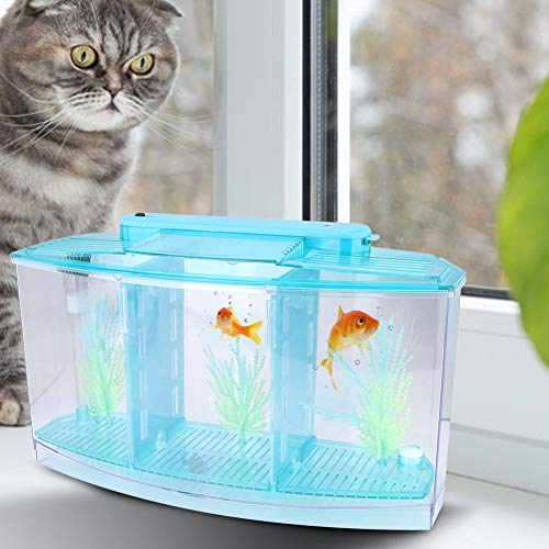 Small Fish Tank With Filter, Aquarium Fish LED Acrylic Three Divisions Breeding Isolation Box for Small Fishes Aquarium Fish (Blue) - color: Blue