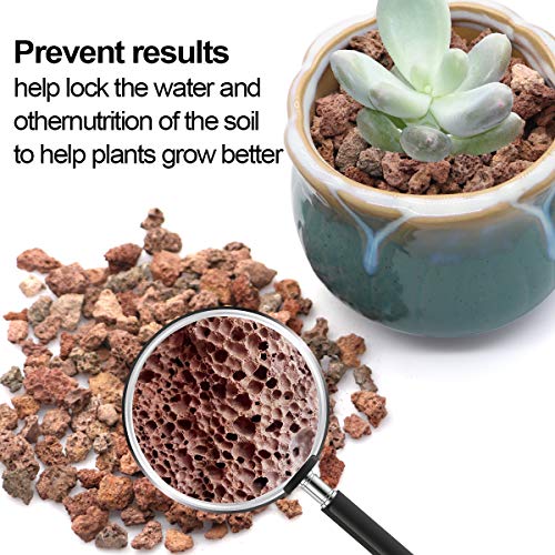 TOYPOPOR Red Lava Accent Rocks Outdoor Decorative Stones for Craft Projects, Vase Fillers, Succulents, Cactus Pots, Terrarium Plants 2.2LB - color: Horticultural Lava Rock, size: 2.2 lb