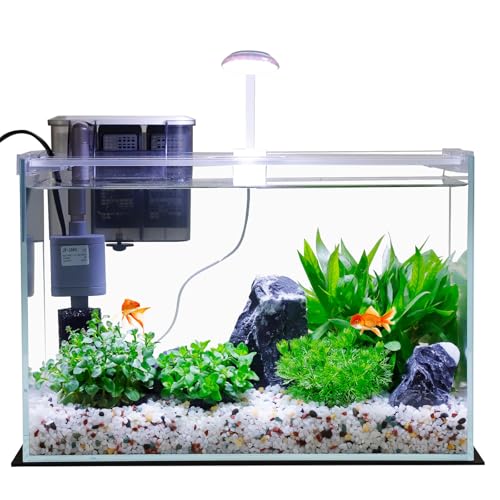 3 Gallon Glass Small Fish Tank, Betta Fish Tank Starter Kit with Filter, Lights,Lid. - size: 3 Gallon