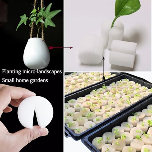 40 Pcs Aquatic Plants Fixed Rings Set, Anti-Floating Ceramic Aquarium-Plant Rings Plant Weights Pot, AquaticPlant Fixed Holder Aquarium-Landscape Decoration Fish Tank Accessories