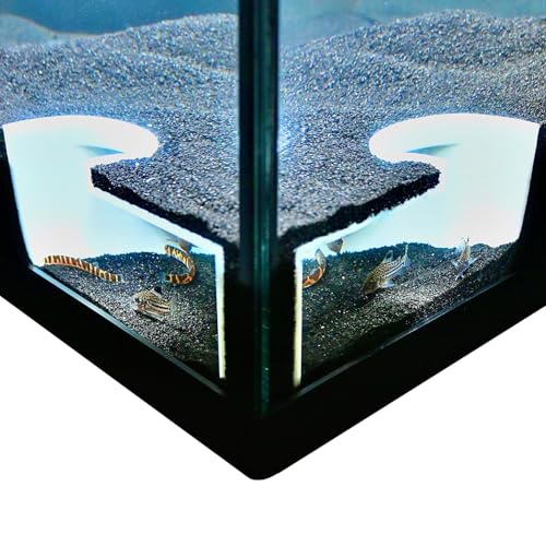 Aquarium Underground Two Hole Corner Cave | Viewing Fish & Shrimp Tunnel | Fish Tank Undergravel Hide Decor Decoration Hideout Perfect For Corydora Catfish, Kuhli Loach, Pleco, Betta Fish (White) - color: White