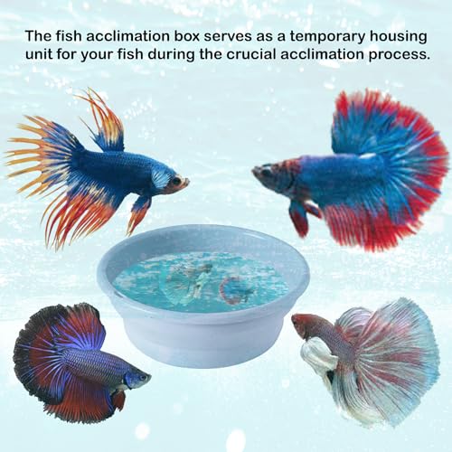 Foldable Fish Acclimation Box - Saltwater & Freshwater Aquarium Acclimator, Shrimp & Betta Fish Breeding Box