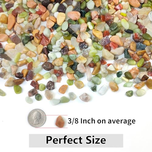 YISZM 2LB Succulent and Cactus Colorful Pebbles, 3/8 Inch Pebbles for Indoor Plants, Natural Decorative Polished River Rocks for Vases, Planters and Outdoor Gardening - color: Colorful, size: 2 Pounds