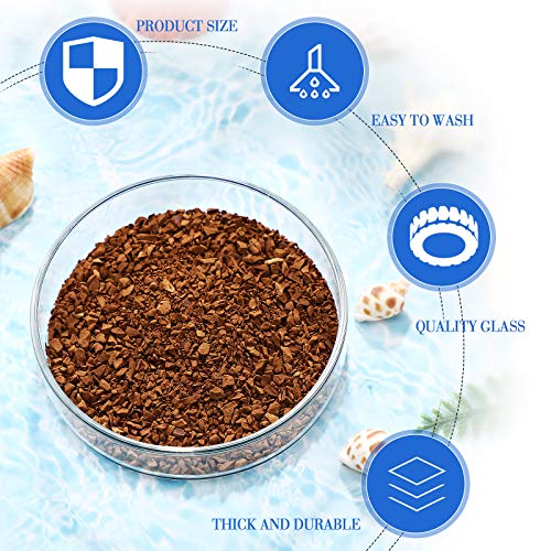 Patelai 3 Pieces Aquarium Shrimp Feeding Dish Clear Glass Fish Tank Feeding Bowl Food Bowl Freshwater Tray Feeder, 60mm, 65mm, 80mm