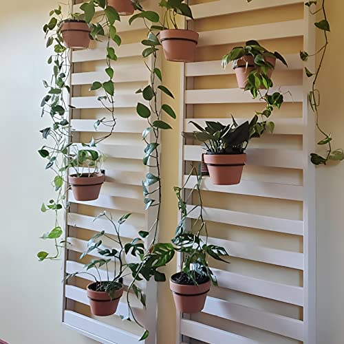 Plant Holder Ring 6 Inch Wall Mounted, 6 Pack Flower Pot Hangers Metal Plant Stand Hanging Bracket Basket Hooks - size: 6 inch-6 Pack