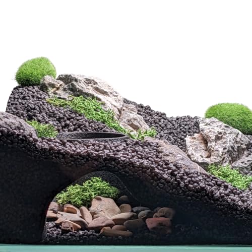 Aquarium & Terrarium Natural Viewing Cave | Fish & Reptiles | Gecko, Corydora, Pleco, Kuhli Loach Hide (Black) - color: Black - Gecko, Corydora, Pleco, Kuhli Loach Hide