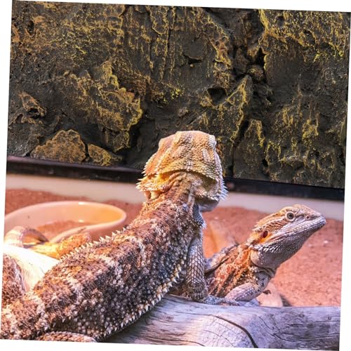 Mipcase 3D Reptile Tank Background Board Aquarium Tank Decoration for Bearded Dragon Decorative Sheet
