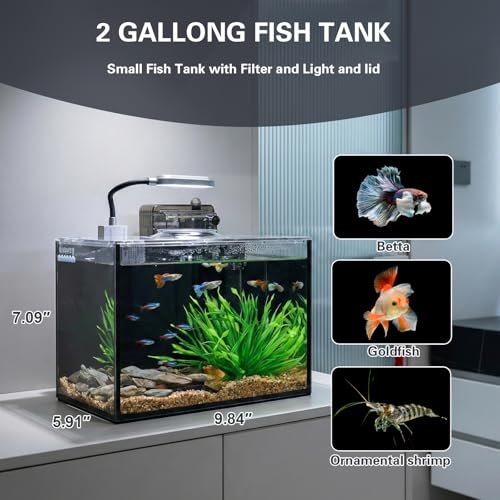 2 Gallon Small Aquarium Set Glass Fish Tank,Desktop Small Aquarium Kit for Beginners and Children to Keep Betta Fish, Goldfish, Shrimp, and Aquatic Plants (Black, 2 Gallon (Complete Kit) ﻿) - size: 2 Gallon (Complete Kit) ﻿