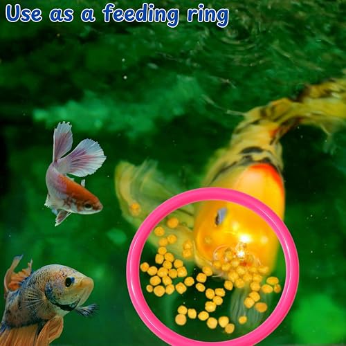 Betta Ring Enrichment Toys with Filter Ball set, Turtle Water Cleaner Ball, Aquarium Feeding Ring with Nitrifying Balls, Betta Fish Toy, Aquatic Turtle Enrichment Toy, Tortoise Supplies (Pink, M-70mm) - color: Pink, size: M-70mm