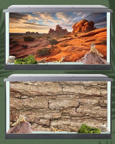 4 Pcs 48 x 18 Inch Reptile Tank Background Reptile Tank Accessories Polyester Terrarium Background Decor for Leopard Gecko Turtle Bearded Dragon(Canyon Waterfall, Bark, Cactus, Gobi Desert)