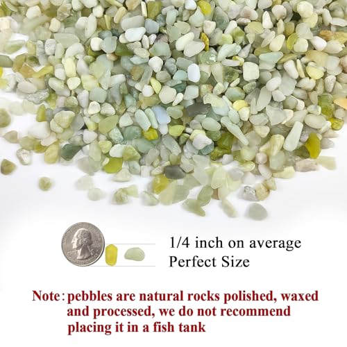 FANTIAN 10 lbs Pebbles for Landscaping,1/4 Inch Polished Green Pea Gravel Small Rocks for Plants, Succulents, Cactus, Vases, Terrarium and Outdoor Gardening - size: 10 pounds, style: Jade
