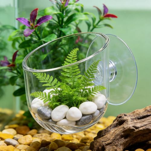 2-Pack Aquarium Plant Holder w/Suction Cup - Acrylic Top Hanging Fish Tank Plant Holder for Aquascape Decoration - Planter Pot for Water Feature Decoration,Betta Tank Accessories