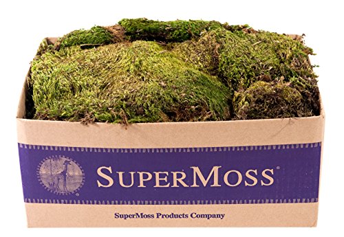 SuperMoss (21537) Mood Moss – Natural Moss for Home Decor, Terrariums, Floral Arrangements, and Craft Projects, 1,564 cu in, Dried - color: Natural Dried, size: Appx. 3 lb Bulk Case