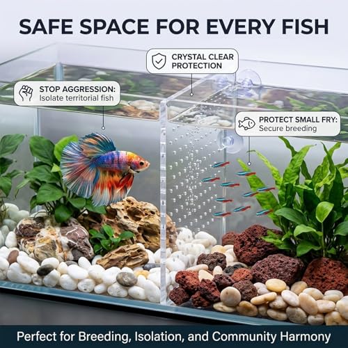 Acrylic Aquarium Partition, Transparent Fish Tank Divider with Suction Cups, 5mm Isolation Board for Breeding and Separation(40x40cm) - size: 40x40cm