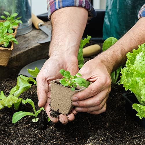 Hahood 4 Pack Seed Starter Tray Set Plants Growing Trays Peat Pots for Seedlings with Seed Starter Pots, Plastic Germination Tray, Plant Labels, Tool for Flower Vegetable Planting, Black - color: Black
