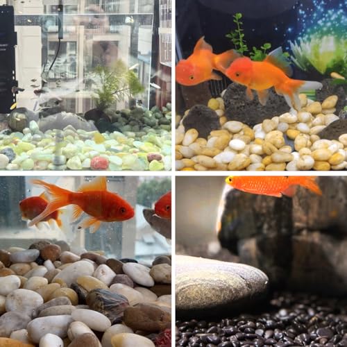 YISZM Rocks for Plant 5lbs, Yellow River Rocks 2-3 Inch Natural Pebbles for Indoor Plants, High Polished Decorative Stones Vase Filler Fish Tank Aquariums Landscaping Garden - color: Yellow, size: 5 Pounds
