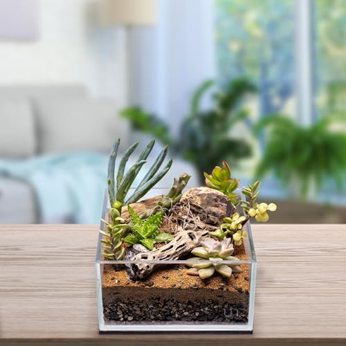 SubstrateSource Natural Cholla Wood - Driftwood for Aquariums, Air Plant Base, Hermit Crab and Freshwater Shrimp Hideout, Fish Tank Decoration, Chinchilla Chews, Reptile Habitat Wood - 6 Inch, 5pc - size: 6 Inch, 5pc