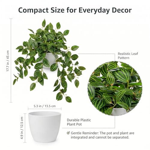 Briful Artificial Plants Indoor Fake Potted Silk Plants Faux Watermelon Peperomia Draping Plant for Home Office Bathroom Shelf Cabinet Tabletop Decoration(Green - 1 Pack) - color: Green Style#1