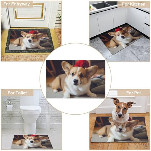 Outdoor Door Mat 15.7" X 23.6" Non-Slip Doormat Cute Corgi Front Door Mats Quick Dry Welcome Mats for Outdoor Indoor Entrance Mat Home Decor Floor Mats for Patio - color: Cute Corgi