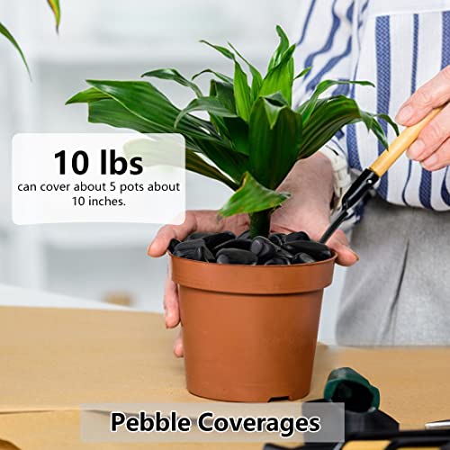 YISZM 10lbs Black Pebbles for Plants, 1-2 Inch High Polished Natural River Rocks for Landscaping, Decorative Stones Vase Filler Fish Tank Aquariums Garden Outdoor and Indoor DIY - color: Black, size: 10 Pounds