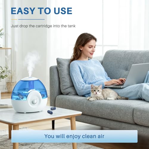 12- Pack Demineralization Cartridge for Humidifier | Compatible with HoMedics Ultrasonic Humidifier and Most Humidifiers, Prevent Hard Water Build-Up, Reduces White Dust, Purifies Water, Part UHE-HDC4 - color: Demineralization Cartridge-12 Pack